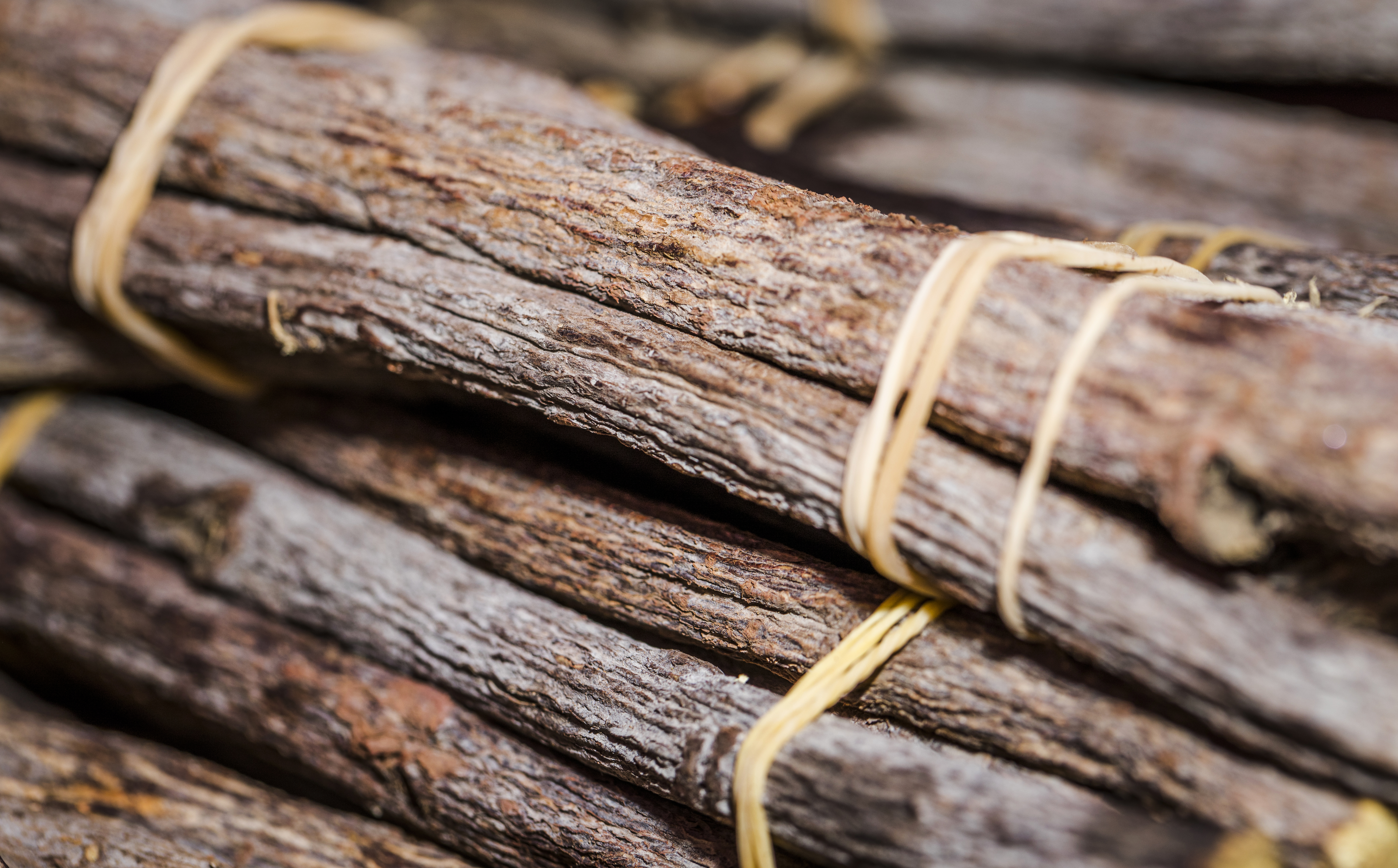 Cinnamon Quality & Grading